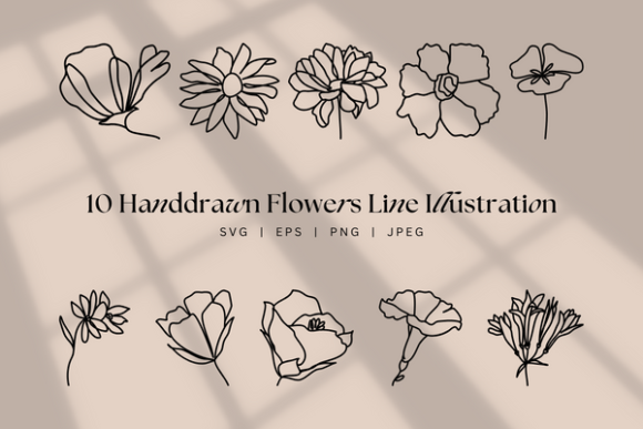 Handdrawn Flower Line Art, Floral Boho